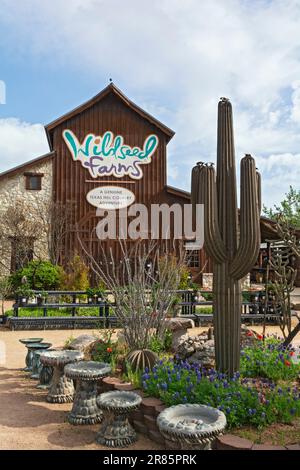 Texas, Hill Country, Gillespie County, Wildseed Farms Stockfoto