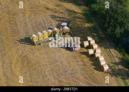 Luftaufnahme des Traktors zum Sammeln von Strohballen, landwirtschaftliche Maschine zum Sammeln von Heuballen, Erntekonzept, sonniger Tag, Italien Stockfoto