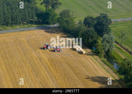 Luftaufnahme des Traktors zum Sammeln von Strohballen, landwirtschaftliche Maschine zum Sammeln von Heuballen, Erntekonzept, sonniger Tag, Italien Stockfoto