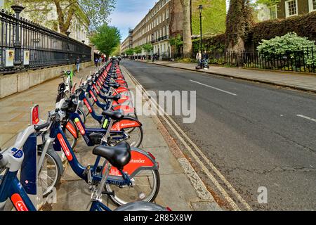 London Camden eine lange Reihe roter und blauer Santander-Fahrräder vor dem British Museum Stockfoto