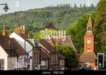 Wendover Woods, Buckinghamshire, England, Großbritannien Stockfoto