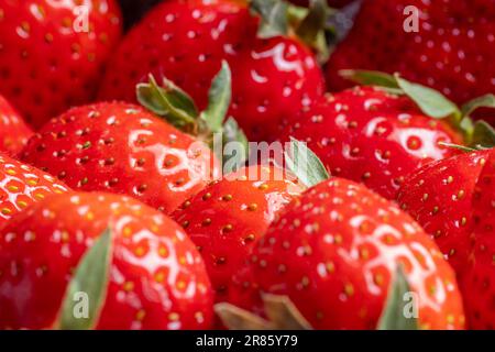 Hintergrund von frisch geernteten Erdbeeren, direkt darüber. Erdbeer-Hintergrund. Rote frische Erdbeertapete. Makro. Textur. Naturkost. V Stockfoto