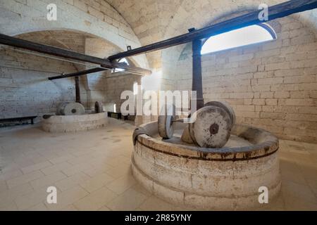 Abtei Santa Maria di Cerrate, unterirdische Olivenmühlen, Museum der Volkskunst und -Traditionen, antiker Brecher, Apulien - Lecce, Italien Stockfoto