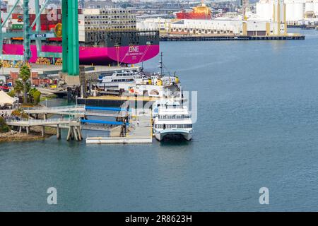 San Pedro, CA, USA – 2. Juni 2023: Die Catalina Express Katamaranyacht bietet hin- und Rückfahrt nach Catalina Island, die am Hafen von Los Ange angelegt ist Stockfoto