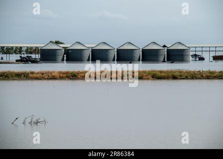 Überschwemmter Betrieb und überflutete Ernte Der Tulare Lake im Central Valley von Kalifornien ist seit Jahrzehnten ein trockener See, der aber nach Major ra wieder zum Leben erwacht Stockfoto