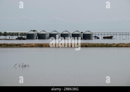 Überschwemmter Betrieb und überflutete Ernte Der Tulare Lake im Central Valley von Kalifornien ist seit Jahrzehnten ein trockener See, der aber nach Major ra wieder zum Leben erwacht Stockfoto