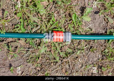 Schnellkupplung an einem Gartenschlauch zur Bewässerung auf dem Boden liegend. Stockfoto