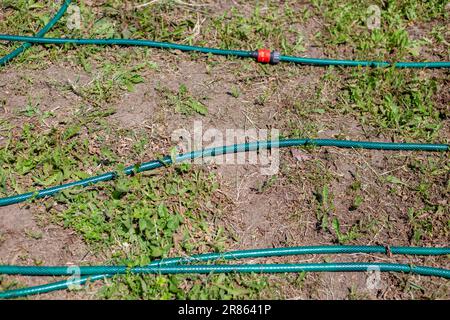 Auf dem Boden liegt ein langer Gartenschlauch zur Bewässerung mit einer Schnellkupplung. Stockfoto