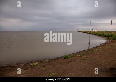 Der Tulare Lake, der sich im Central Valley von Kalifornien befindet, ist seit Jahrzehnten ein trockener See, aber nach heftigen Regenfällen im Winter von wieder zum Leben erwacht Stockfoto