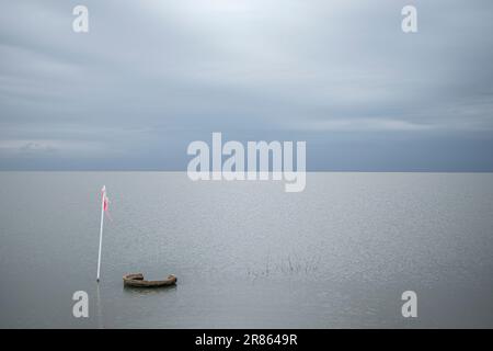 Der Tulare Lake, der sich im Central Valley von Kalifornien befindet, ist seit Jahrzehnten ein trockener See, aber nach heftigen Regenfällen im Winter von wieder zum Leben erwacht Stockfoto