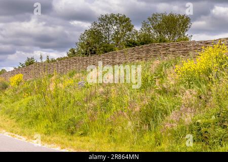 Ökologische Schallmauer Erdwand mit Weidenzaun von Weidenzweigen. Blumen und Bäume wachsen auf dem Deich mit Vegetation. Niederlande. Stockfoto