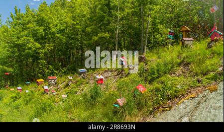 Ein Dorf mit Vogelhäusern auf einem Landhügel in Vermont Stockfoto