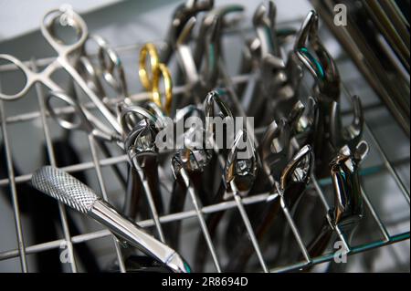 Fokus auf professionelle zahnärztliche Extraktionspinzetten aus Edelstahl, die unter UV-Licht in einem Autoklav sterilisiert werden Stockfoto