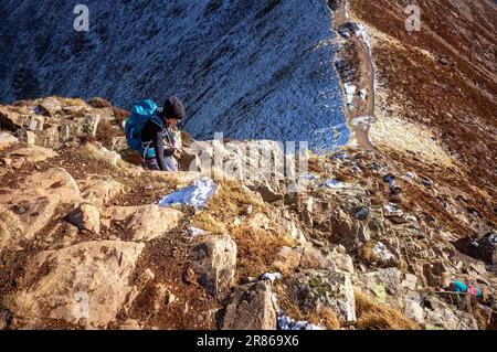 Eine Wanderin, die im Winter im englischen Lake District, Großbritannien, einen steilen felsigen Pfad in Richtung Sail von Crag Hill mit ihrem Hund hinabsteigt. Stockfoto