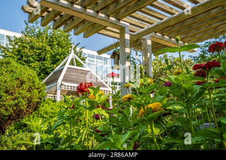 State Botanical Garden of Georgia in Athen, Georgia. (USA) Stockfoto