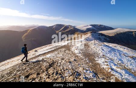 Eine Wanderer und ihr Hund wandern über den Gipfel des Grisedale Pike mit Crag Hill und Grasmoor in der Ferne im Winter in der englischen Seeverteilung Stockfoto