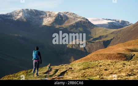 Ein Wanderer und sein Hund gehen den Pfad zum Gipfel des Grisedale Pike mit Crag Hill und Grasmoor in der Ferne im Winter am englischen See D hinauf Stockfoto