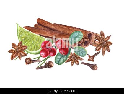 Zimtstangen, rote heidelbeere, Leinenscheibe, Piniennadeln, Nelken, Sternanis isoliert auf weißem Hintergrund. Aquarell, botanische Darstellung Stockfoto