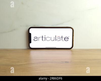 Konskie, Polen - 17. Juni 2023: Logo der Articulate Creator Platform auf dem Bildschirm des Mobiltelefons Stockfoto