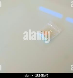 Ein Beutel mit Tesla Ecstasy-Pillen in Orange, Grün und Blau in Form eines Schilds mit dem Tesla Logo; 240 Milligramm MDMA Molly für die Freizeit. Stockfoto