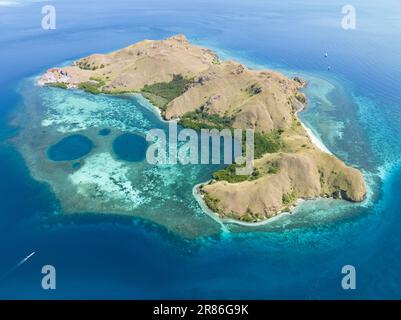 Flache blaue Löcher finden sich in einem flachen Riff in der Nähe der wunderschönen Insel Sebayor im Komodo-Nationalpark, Indonesien. Stockfoto