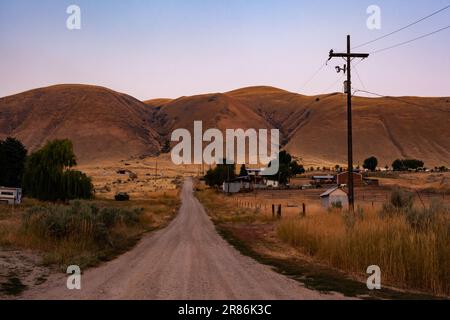 USA, Idaho, Bellevue, eine Landstraße, die an einer Farm mit grasenden Pferden vorbeiführt. Lichtmasten und Berge. Stockfoto
