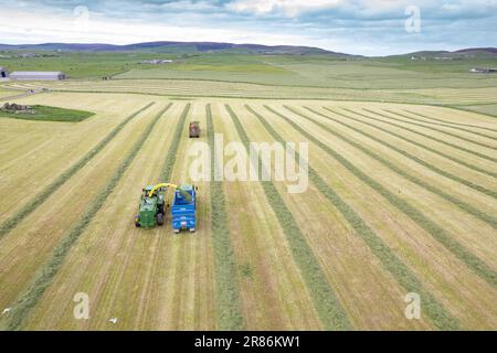 Herstellung von Silage in einer Milchfarm auf den Orkneys mit einem selbstfahrenden John Deere-Erntemaschine, der einen Anhänger füllt, der von einem John Deere-Traktor gezogen wird. Schottland Stockfoto