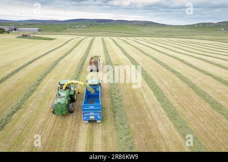 Herstellung von Silage in einer Milchfarm auf den Orkneys mit einem selbstfahrenden John Deere-Erntemaschine, der einen Anhänger füllt, der von einem John Deere-Traktor gezogen wird. Schottland Stockfoto