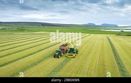 Herstellung von Silage in einer Milchfarm auf den Orkneys mit einem selbstfahrenden John Deere-Erntemaschine, der einen Anhänger füllt, der von einem John Deere-Traktor gezogen wird. Schottland Stockfoto