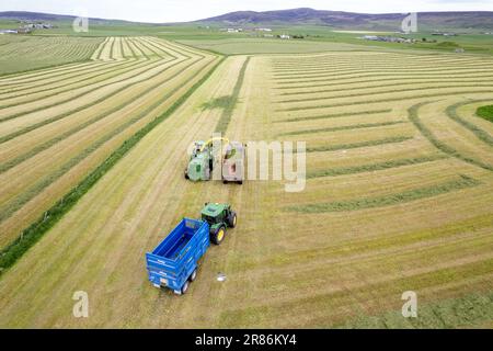 Herstellung von Silage in einer Milchfarm auf den Orkneys mit einem selbstfahrenden John Deere-Erntemaschine, der einen Anhänger füllt, der von einem John Deere-Traktor gezogen wird. Schottland Stockfoto