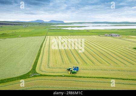 Herstellung von Silage in einer Milchfarm auf den Orkneys mit einem selbstfahrenden John Deere-Erntemaschine, der einen Anhänger füllt, der von einem John Deere-Traktor gezogen wird. Schottland Stockfoto