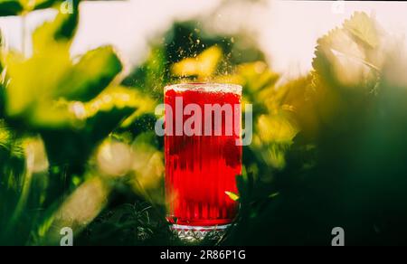 Der Eiswürfel fällt in erfrischende Erdbeerlimonade und Mojito-Getränk. Spritzer Stockfoto