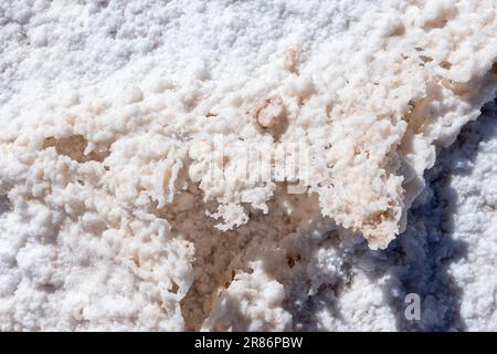 Salzkruste der berühmten Touristenattraktion Ojos del Mar in der Nähe von Tolar Grande im argentinischen Hochland namens Puna; Reisen nach Südamerika Stockfoto