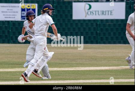 Bognor gegen Eastbourne Sussex Cricket League Stockfoto