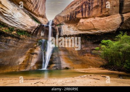 Vertikaler Wasserfall, der in einen kleinen grünen See fließt. Upper Calf Creek Falls Capitol Reef Nationalpark Utah. Befindet sich im südlichen Zentrum von Utah im HE Stockfoto