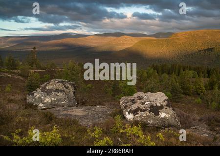 Die Cairngorm Mountains von Ord Ban, Loch an Eilean, Schottland, Großbritannien Stockfoto