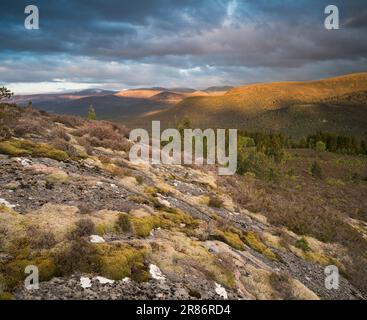 Die Cairngorm Mountains von Ord Ban, Loch an Eilean, Schottland, Großbritannien Stockfoto