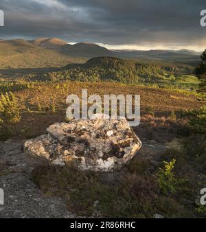 Die Cairngorm Mountains von Ord Ban, Loch an Eilean, Schottland, Großbritannien Stockfoto