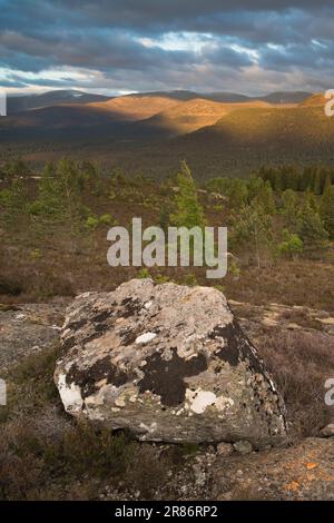 Die Cairngorm Mountains von Ord Ban, Loch an Eilean, Schottland, Großbritannien Stockfoto