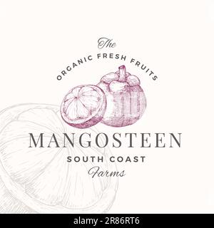 Logovorlage Für Das Mangosteen-Logo. Handgezeichnete Fruchtskizze mit Retro-Typografie. Premium Pflanzliches Vegan Food Emblem Isoliert Stock Vektor