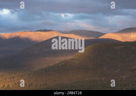 Die Cairngorm Mountains von Ord Ban, Loch an Eilean, Schottland, Großbritannien Stockfoto