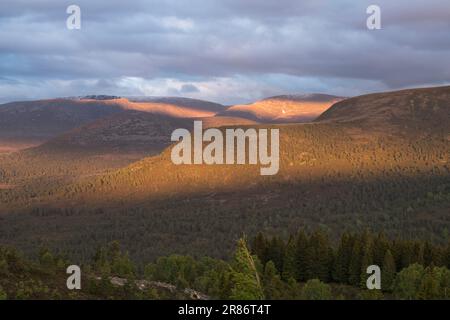 Die Cairngorm Mountains von Ord Ban, Loch an Eilean, Schottland, Großbritannien Stockfoto