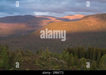 Die Cairngorm Mountains von Ord Ban, Loch an Eilean, Schottland, Großbritannien Stockfoto