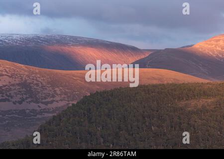 Die Cairngorm Mountains von Ord Ban, Loch an Eilean, Schottland, Großbritannien Stockfoto