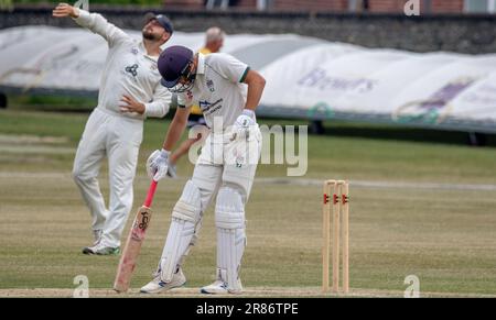 Bognor gegen Eastbourne Sussex Cricket League Stockfoto