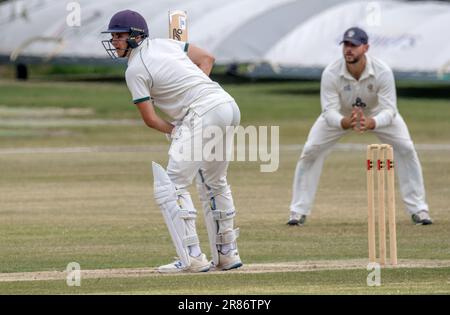 Bognor gegen Eastbourne Sussex Cricket League Stockfoto