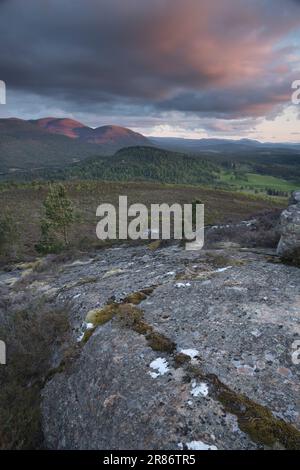 Die Cairngorm Mountains von Ord Ban, Loch an Eilean, Schottland, Großbritannien Stockfoto