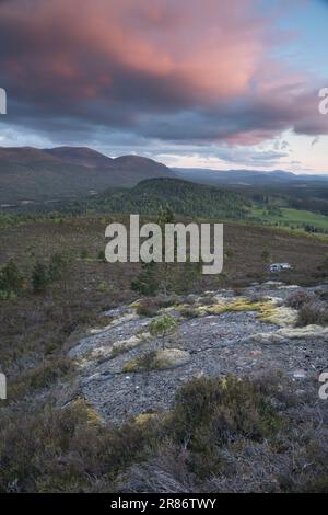 Die Cairngorm Mountains von Ord Ban, Loch an Eilean, Schottland, Großbritannien Stockfoto