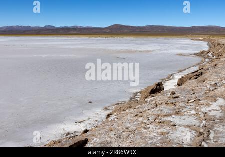 Erkunden Sie die riesigen Salzebenen von Salinas Grandes de Jujuy im Norden Argentiniens auf Ihrer Reise nach Südamerika Stockfoto