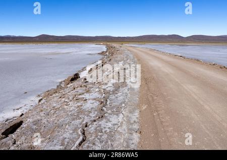 Erkunden Sie die riesigen Salzebenen von Salinas Grandes de Jujuy im Norden Argentiniens auf Ihrer Reise nach Südamerika Stockfoto